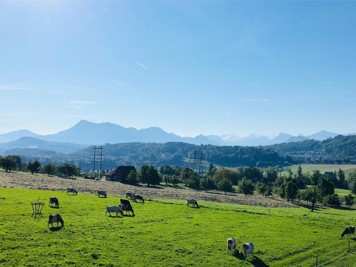 Auf Dem Bauernhof * Luzern